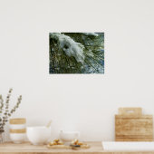 Sneeuw op een Pine Tree Branch Poster (Keuken)
