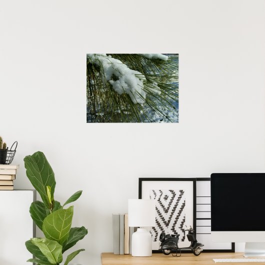 Sneeuw op een Pine Tree Branch Poster (Thuiskantoor)