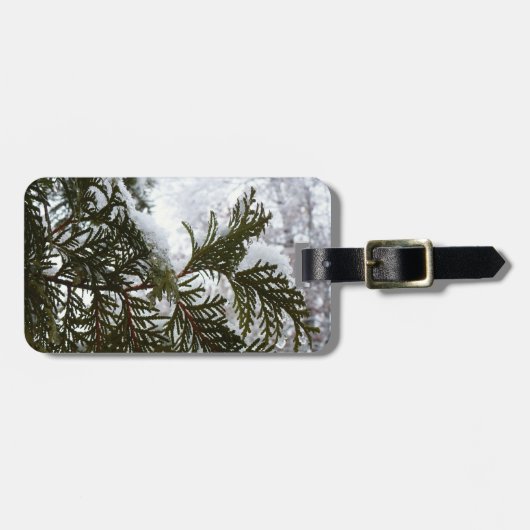 Sneeuw op Evergreen Branches Bagagelabel (Voorkant horizontaal)