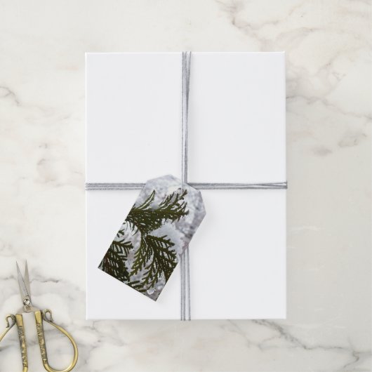 Sneeuw op Evergreen Branches Cadeaulabel (Met Touw)