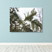 Sneeuw op Evergreen Branches Canvas Afdruk (Insitu (Houten vloer))
