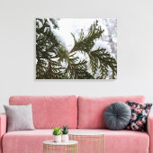 Sneeuw op Evergreen Branches Canvas Afdruk (Insitu (Woonkamer))