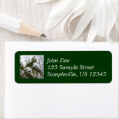 Sneeuw op Evergreen Branches Etiket (Insitu)