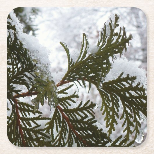 Sneeuw op Evergreen Branches Kartonnen Onderzetters (Voorkant)