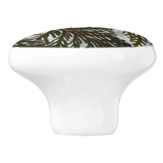 Sneeuw op Evergreen Branches Keramische Knop (Zijkant)