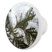 Sneeuw op Evergreen Branches Keramische Knop (Rechts)