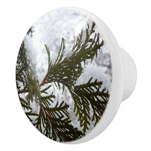 Sneeuw op Evergreen Branches Keramische Knop (Rechts)