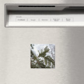 Sneeuw op Evergreen Branches Magneet (Insitu (Vaatwasser))