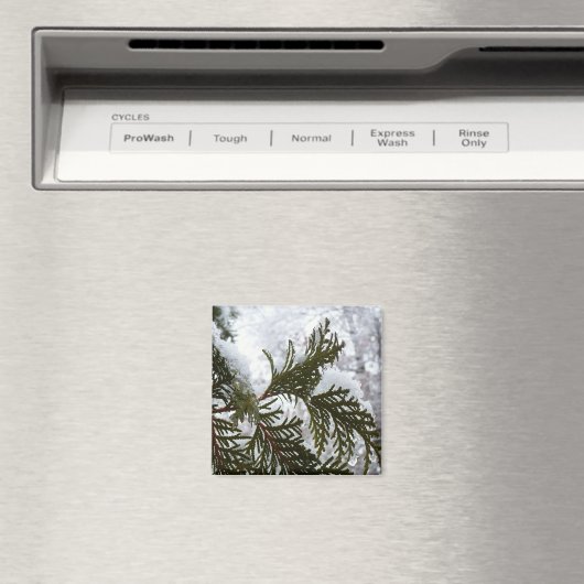 Sneeuw op Evergreen Branches Magneet (Insitu (Vaatwasser))