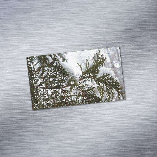 Sneeuw op Evergreen Branches Magnetisch Visitekaartje (Voorbeeld)
