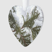 Sneeuw op Evergreen Branches Ornament (voorkant)