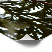 Sneeuw op Evergreen Branches Perfect Poster (Hoek)