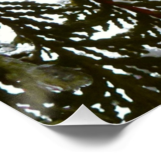 Sneeuw op Evergreen Branches Perfect Poster (Hoek)