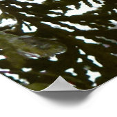 Sneeuw op Evergreen Branches Poster (Hoek)