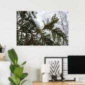 Sneeuw op Evergreen Branches Poster (Thuiskantoor)