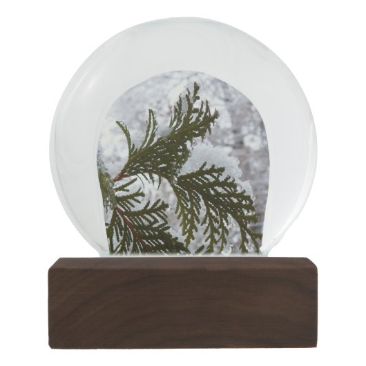 Sneeuw op Evergreen Branches Sneeuwbol (Achterkant)