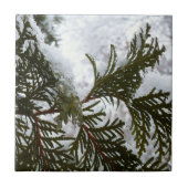 Sneeuw op Evergreen Branches Tegeltje (Voorkant)