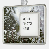 Sneeuw op Evergreen Branches Verzilverd Omlijst Ornament (Links)