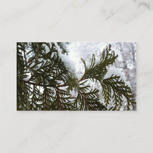 Sneeuw op Evergreen Branches Visitekaartje (Achterkant)