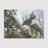 sneeuw op Evergreen Branches Winter Natuur Foto Tissuepapier (Voorkant)