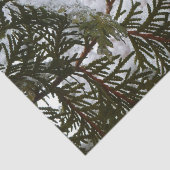 sneeuw op Evergreen Branches Winter Natuur Foto Tissuepapier (Detail)
