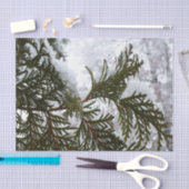 sneeuw op Evergreen Branches Winter Natuur Foto Tissuepapier (Craft)