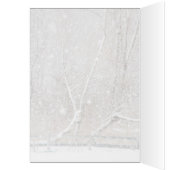 sneeuw op het park (Binnen (Links))