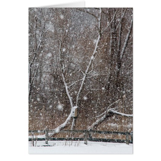 sneeuw op het park (Voorkant)