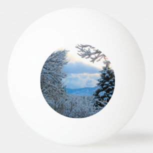 Sneeuw op pijnbomen in het colorado Rocky Mountain Pingpongbal