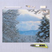 Sneeuw op pijnbomen in het colorado Rocky Mountain Tissuepapier (Craft)