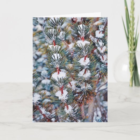 Sneeuw op Pine Branches Art Kaart (Voorkant)