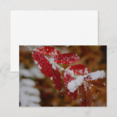 Sneeuw op Rode Bladeren Notitiekaartje (Voorkant / Achterkant)