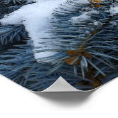 sneeuw op takken poster (Hoek)