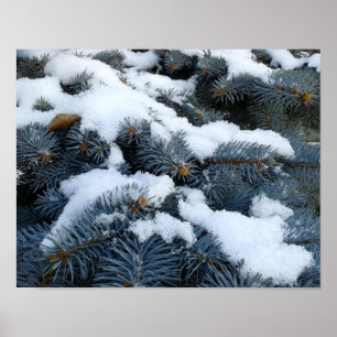 sneeuw op takken poster