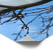 Sneeuw op takken poster (Hoek)