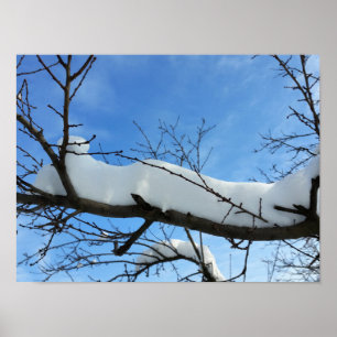 Sneeuw op takken poster