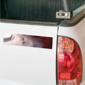 Sneeuw Ornament Bumpersticker (Op Truck)