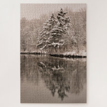 Sneeuw over het winterlandschap van Lake Winter Wo