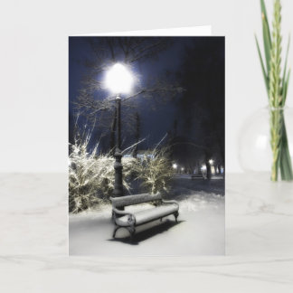 Sneeuw Park Feestdagen Kaart