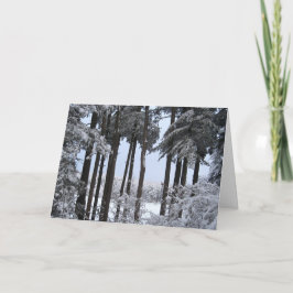 Sneeuw Pijnbomen in Blauw Licht Feestdagen Kaart