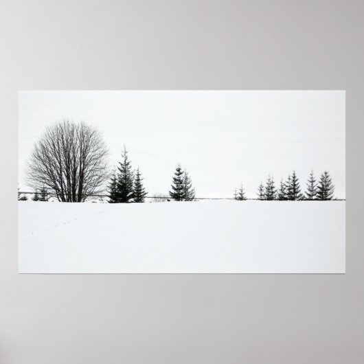 sneeuw poster (Voorkant)