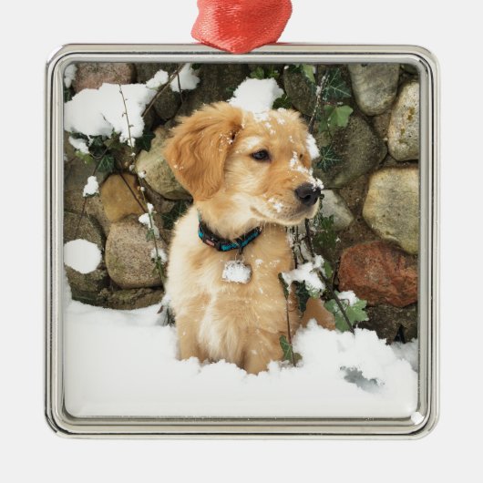 Sneeuw Puppy Metalen Ornament (Voorkant)