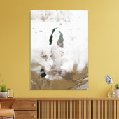 Sneeuw rond het Aralmeer Zee Canvas Afdruk (Insitu (Woonkamer))