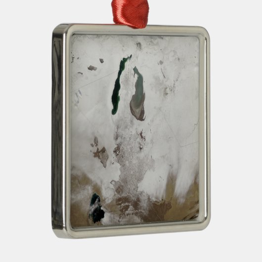 Sneeuw rond het Aralmeer Zee Metalen Ornament (Rechts)