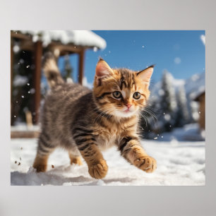 *~* Sneeuw Running Kat 5:4 Kitten Cat AP68 Poster