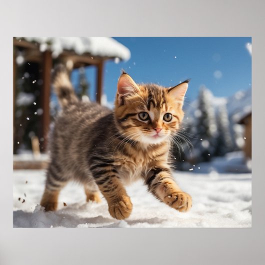 *~* Sneeuw Running Kat 5:4 Kitten Cat AP68 Poster (Voorkant)