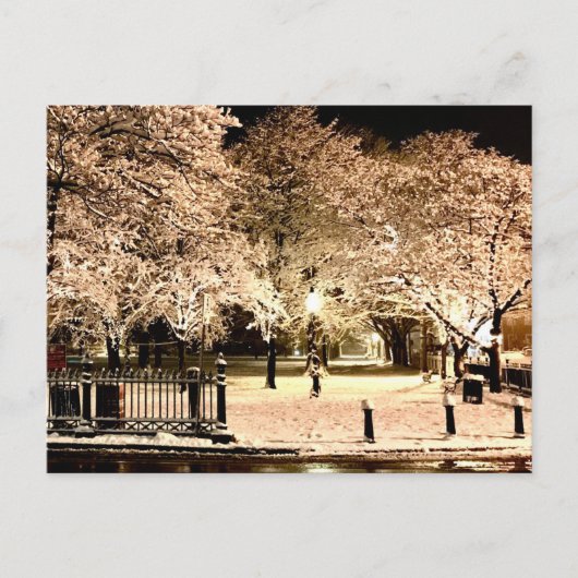 Sneeuw Salem Common Massachusetts Foto Briefkaart (Voorkant)