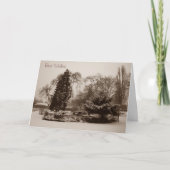 Sneeuw Scène Park Bomen Landschap Kerstmis Feestdagen Kaart (Voorkant)