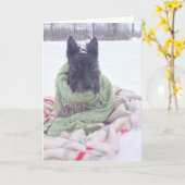 Sneeuw Scottie Kaart (Gele Bloem)