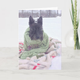 Sneeuw Scottie Kaart